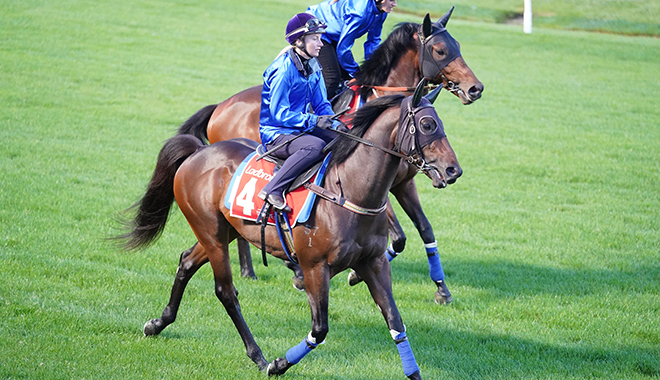 競馬 スケジュールの最新情報をお届け！