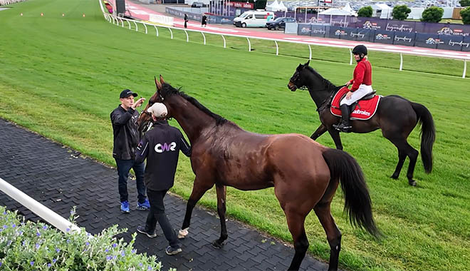 競馬 2 ちゃんねるで話題沸騰！新たな競馬情報とファンの熱い議論が繰り広げられる日々