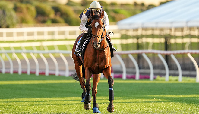 競馬 2 ちゃんねるで話題沸騰！新たな競馬情報とファンの熱い議論が繰り広げられる日々