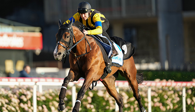 競馬 2 ちゃんねるで話題沸騰！新たな競馬情報とファンの熱い議論が繰り広げられる日々