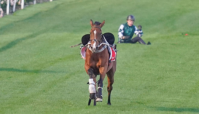 競馬 2 ちゃんねるで話題沸騰！新たな競馬情報とファンの熱い議論が繰り広げられる日々